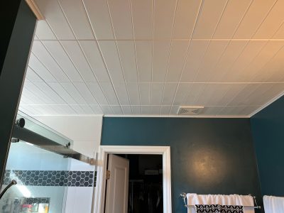 master bathroom ceiling