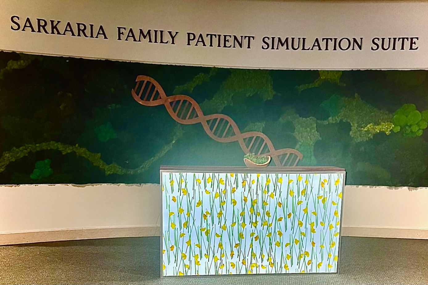 sarkaria family patient simulation suite