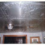 Queen Anne Lace - Aluminum Ceiling Tile - #2406