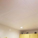 Spring Buds - Styrofoam Ceiling Tile 20"x20" - #R 05