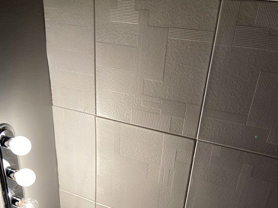 Vectors Glue-up Styrofoam Ceiling Tile 20 in x 20 in – #R187